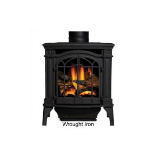Napoleon Bayfield Direct Vent Cast Iron Gas Stove