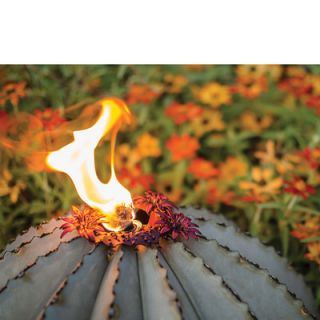Desert Steel Barrel Cactus with Torch