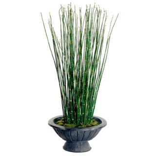 Tori Home 42 Horse Tail Grass Floral Arrangement with Wood Container