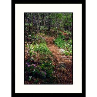 Great American Picture Appalachian Trail, Spring, Tennessee Framed