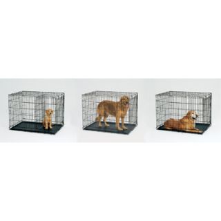 Midwest Homes For Pets Life Stages Fold & Carry Single Door Dog Crate