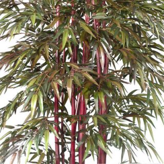 Laura Ashley Home Realistic Bamboo Tree in Medium Decorative Planter