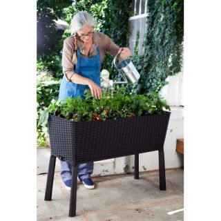 Easy Grow Rectangle Pot Planter