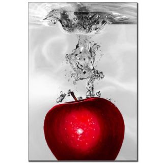 Trademark Global Red Apple Splash by Roderick Stevens, Canvas Art   32