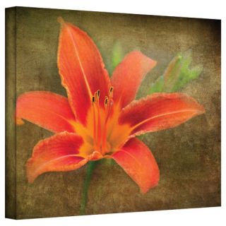 David Liam Kyle Flowers in Focus IV Gallery Wrapped Canvas Wall Art