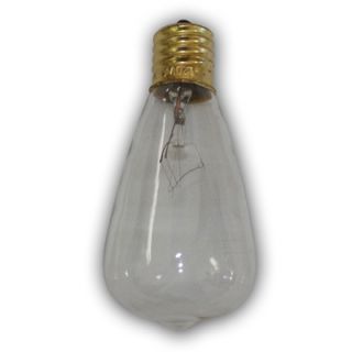 String Light Co Vintage Clear Edison Light Bulb (Pack of 12)