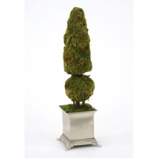 Cone and Ball Moss Topiary in Square Footed Planter