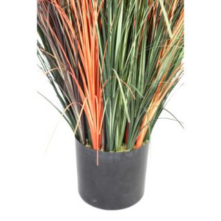 Laura Ashley Home Tall Onion Grass with Cattails in Fiberstone Planter