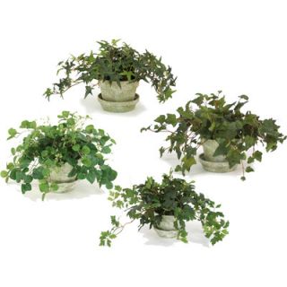 Distinctive Designs Silk Ivy and Vine Arrangements in Clay Pot (Set of