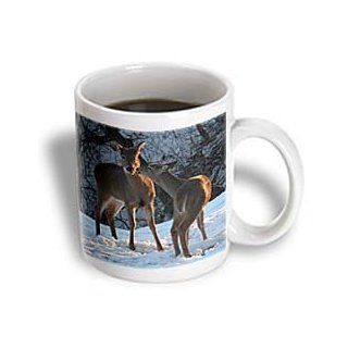 3dRose Stealing a Kiss Deer Kissing Ceramic Mug, 11 Ounce Kitchen & Dining