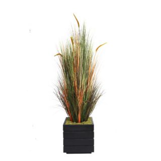Laura Ashley Home Tall Onion Grass with Cattails in Fiberstone Planter