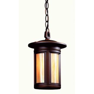 Troy Lighting Highland Park 1 Light Hanging Lantern