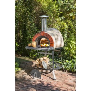 Outdoor Wood Fired Oven with Red Brick Arch