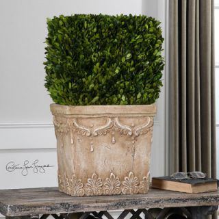 Uttermost Boxwood Square Topiary in Planter