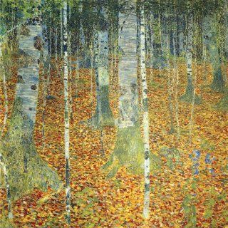 Gustav Klimt 32W by 32H  Birkenwald (Birch Forest), 1903 CANVAS Edge #2 1 1/4" black edge (6 edges available, see description)   Prints