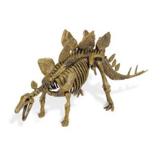 Geo World Dino Excavation Kit Stegosaurus Skeleton