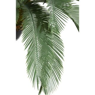 Laura Ashley Home Cycas Palm Tree