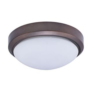 Flush mount Number of lights 2 Material Metal and glass Product Type