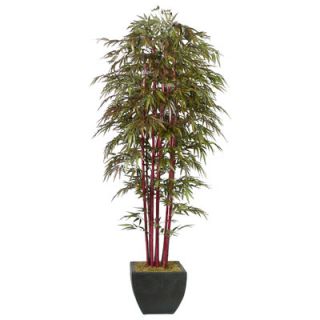Laura Ashley Home Realistic Bamboo Tree in Planter