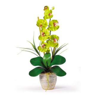 Nearly Natural Phalaenopsis Silk Orchid Arrangement in Green
