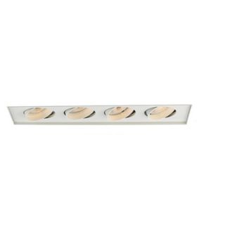 WAC Lighting Four Light Recessed Trimless Multi Spot for MT 430HS in