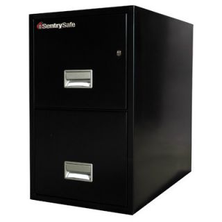 SentrySafe 16.6 W x 25 D Two Drawer Fireproof Key Lock Letter File