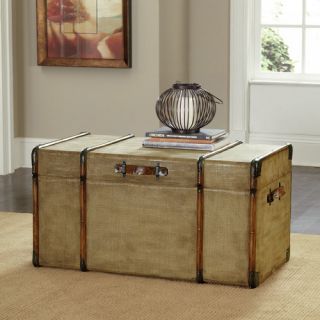 Hidden Treasures Canvas Trunk