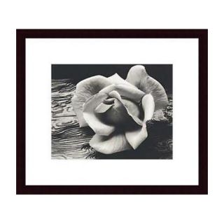 Rose and Driftwood by Ansel Adams Wood Framed Art Print