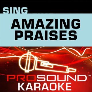 Sing Amazing Praises 3015G (Faith Series   CDG Karaoke) Music