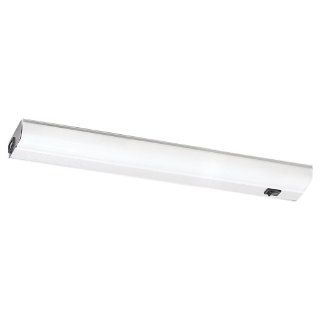 Sea Gull Lighting 49090BL760 Fluorescent Wall/Bath/Vanity Painted, Stainless   Flush Mount Ceiling Light Fixtures  