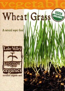 Lake Valley 3996 Organic Wheat Grass Seed Packet  Grass Plants  Patio, Lawn & Garden