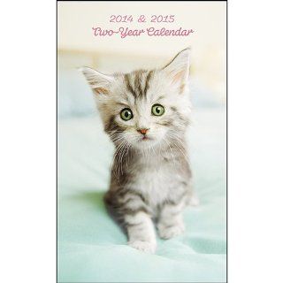 Cute Kittens   2014 2 Year Planner   Personal Organizers
