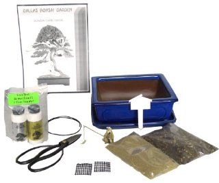 Bonsai Tree Accessory Kit with Ceramic Pot & Tray Patio, Lawn & Garden