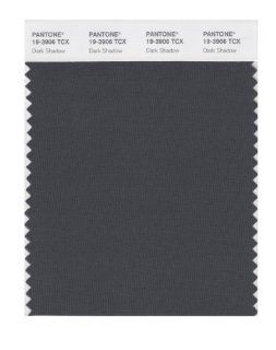PANTONE SMART 19 3906X Color Swatch Card, Dark Shadow   Wall Decor Stickers  