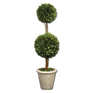 Two Sphere Preserved Boxwood 3 ft. Topiary   Topiaries