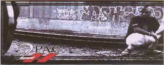 2Pac   Tupac Shakur Squatting by Graffitti Wall   Sticker / Decal Automotive