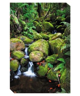 West of the Wind Fern Grotto Canvas Outdoor Art   Outdoor Wall Art