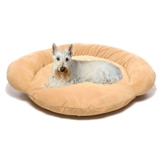 Carolina Pet Company Personalized Bolster Pet Bed   Dog Beds