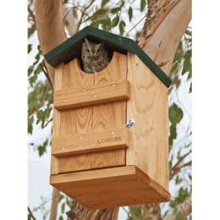 Songbird Essentials Screech Owl House   Bird Houses