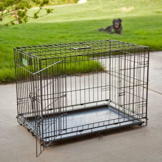 Midwest iCrate Folding Double Door Dog Crate   Dog Crates