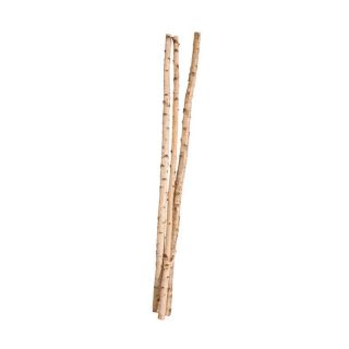 Birch Poles   Set of 3   Silk Trees and Palms