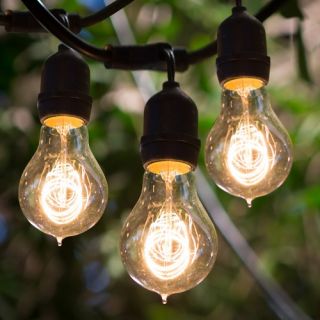 Bulbrite STRING15/E26 A19KT 48 ft. Outdoor String Light with Vintage Edison Bulbs   Outdoor Lighting