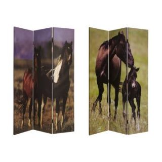 Screen Gems Double Sided Thoroughbred Room Divider   Room Dividers