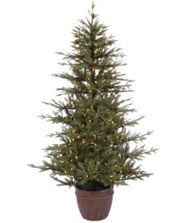 Potted Nevis Pine Pre lit LED Christmas Tree   Christmas Trees