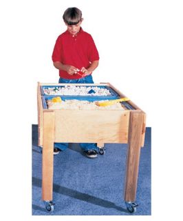 Strictly for Kids Premier Deluxe Double Sensory Table   Daycare Tables & Chairs
