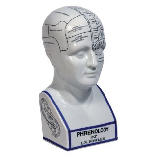 Authentic Models 11.5H in. Phrenology Head Sculpture   Sculptures & Figurines