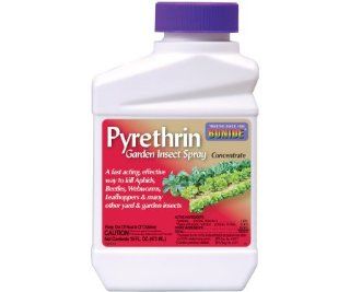 Pyrethrin Spray   858 