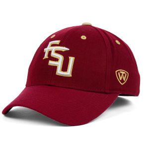Florida State Seminoles Top of the World NCAA Memory Fit Dynasty Fitted Hat