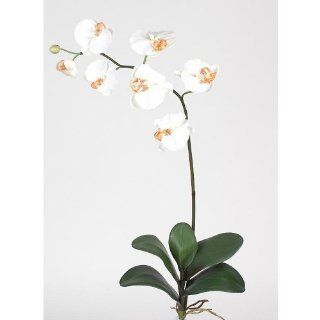 Phalaenopsis Silk Orchid Flower w/Leaves (6 Stems)   Artificial Plants