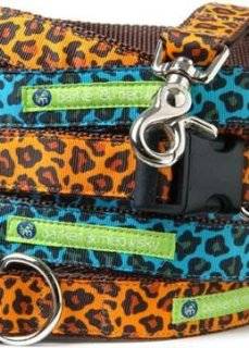   Barker & Meowsky Orange Spencer Wildcat Designer Dog Collar   Medium  Pet Fashion Collars 